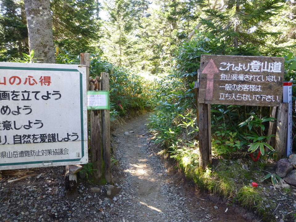 P1120146_mid.jpg