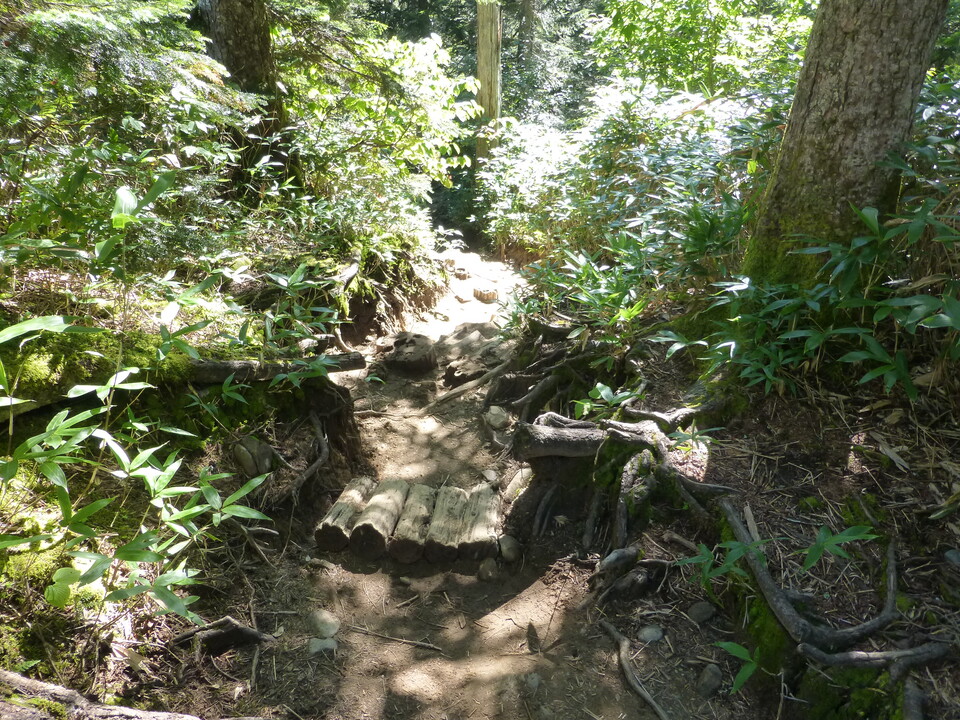 P1120148_mid.jpg