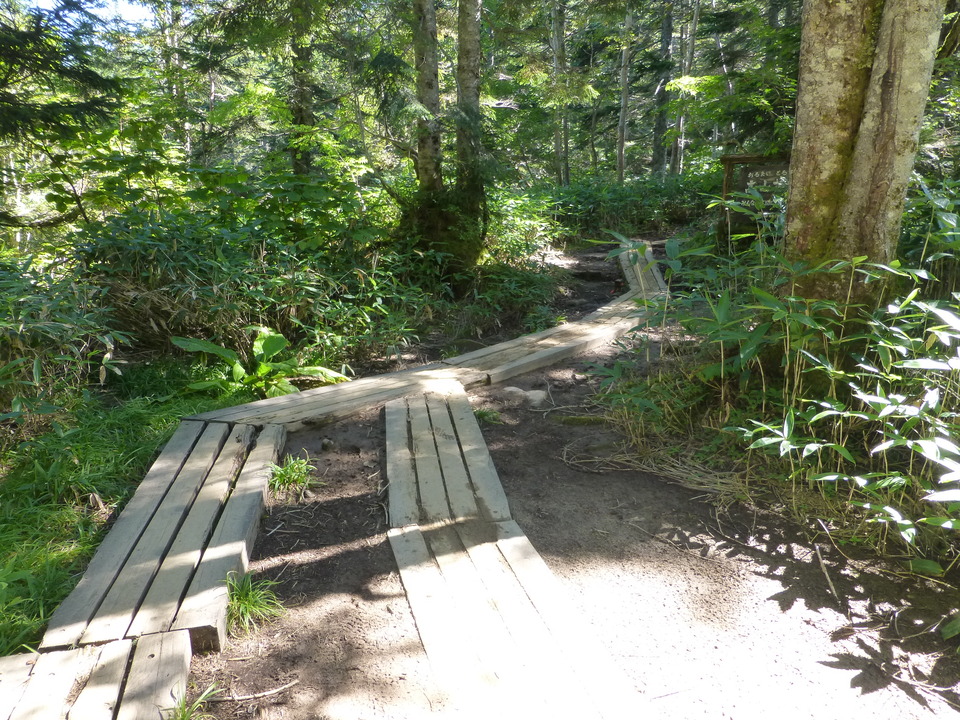 P1120150_mid.jpg