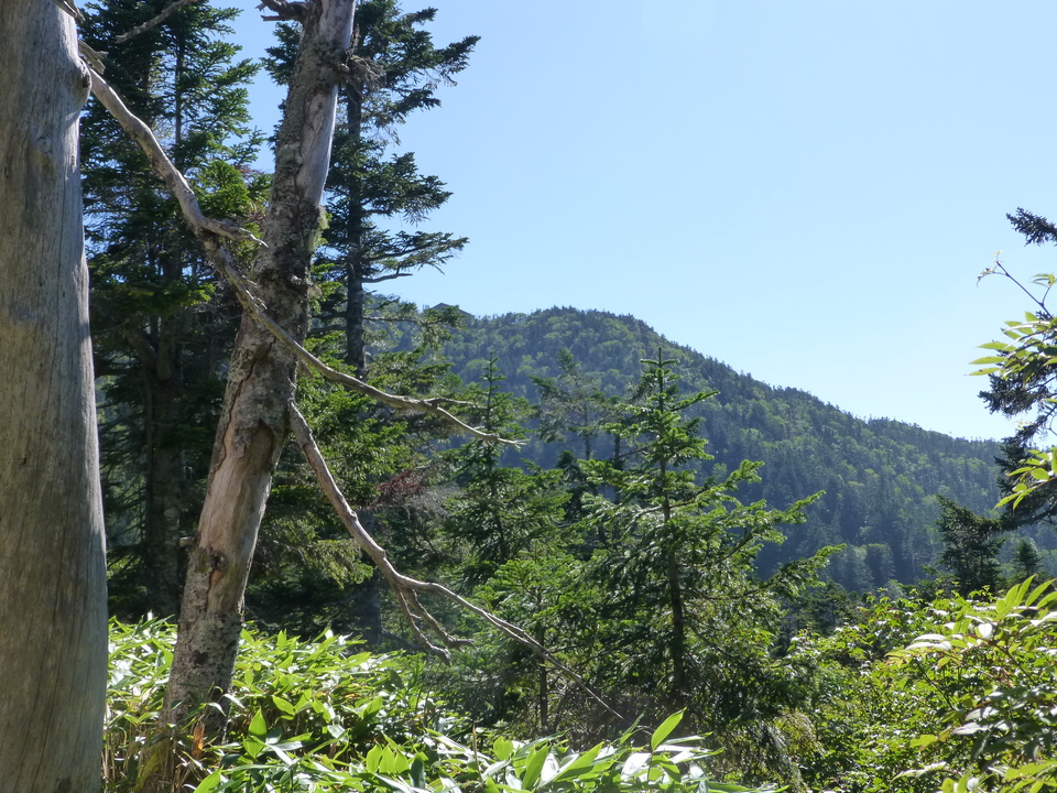 P1120151_mid.jpg