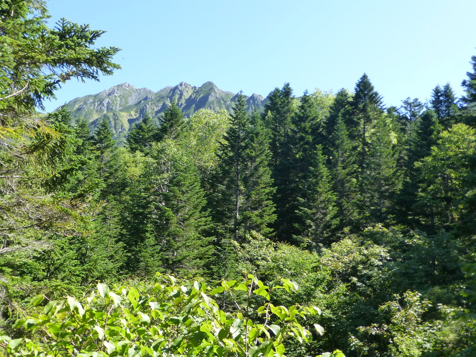 P1120155_mid.jpg