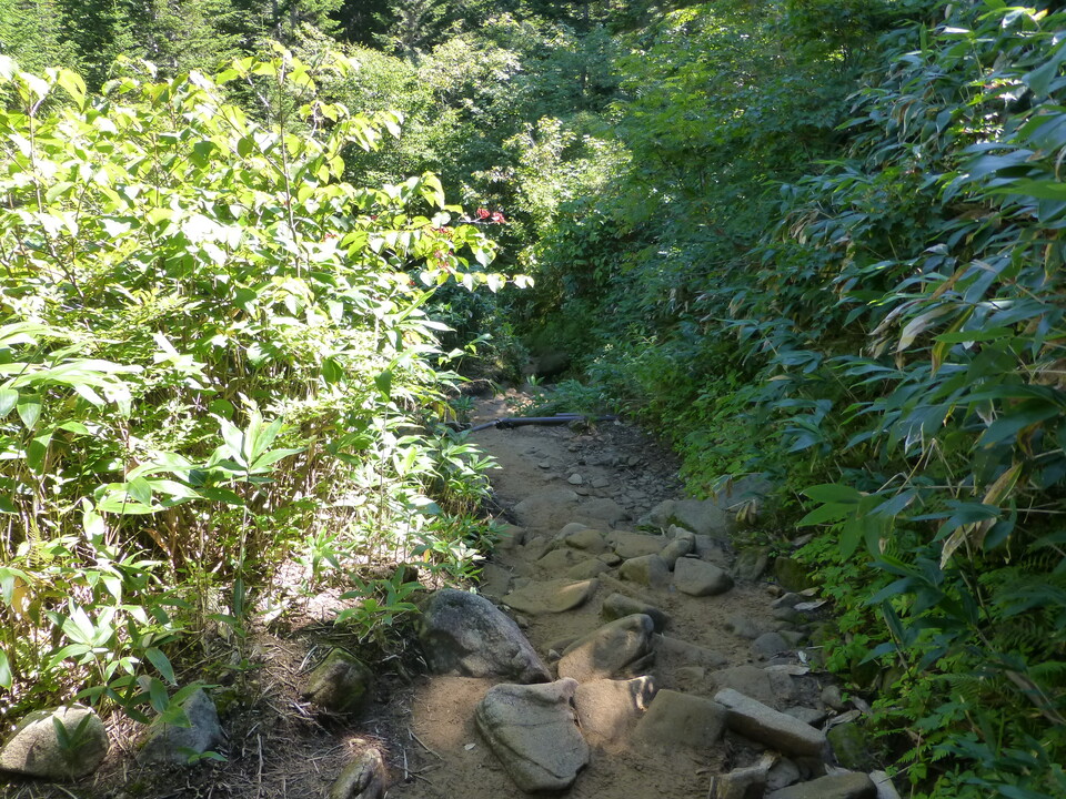 P1120156_mid.jpg