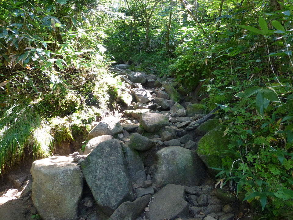 P1120157_mid.jpg