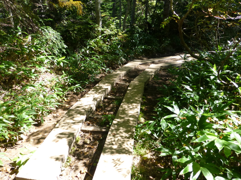 P1120158_mid.jpg