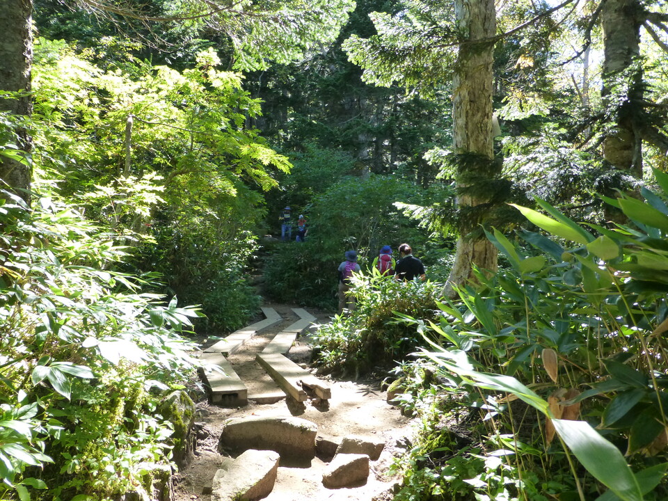 P1120159_mid.jpg