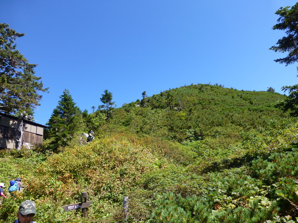 P1120166_mid.jpg