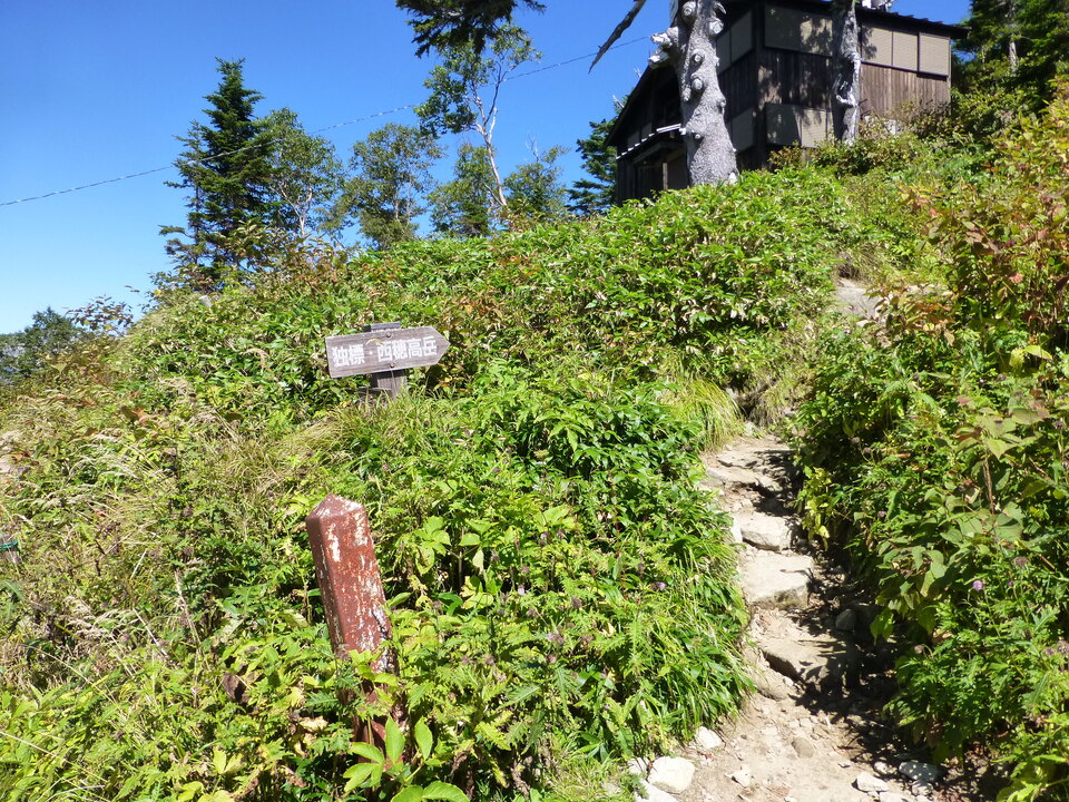 P1120168_mid.jpg