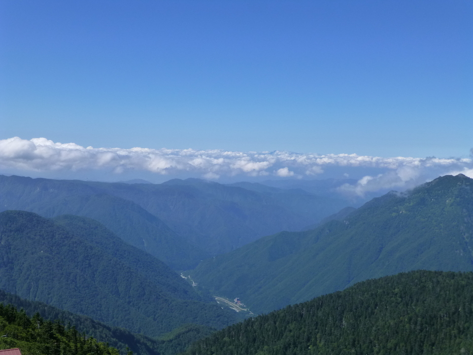 P1120174_mid.jpg
