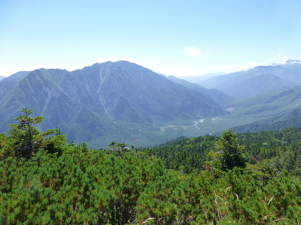 P1120177_mid.jpg