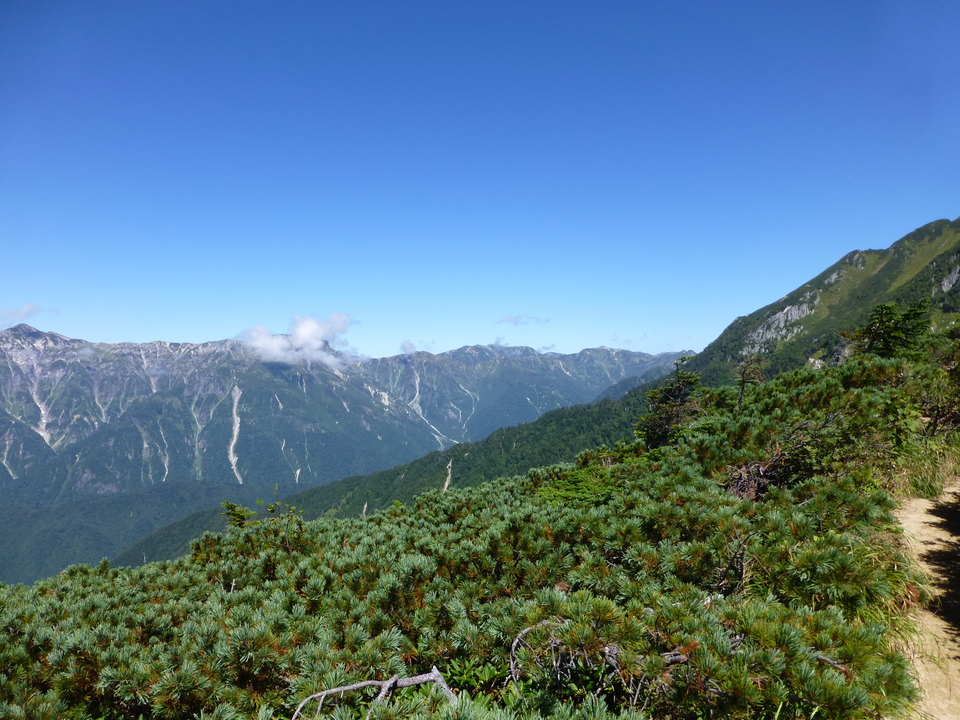 P1120179_mid.jpg