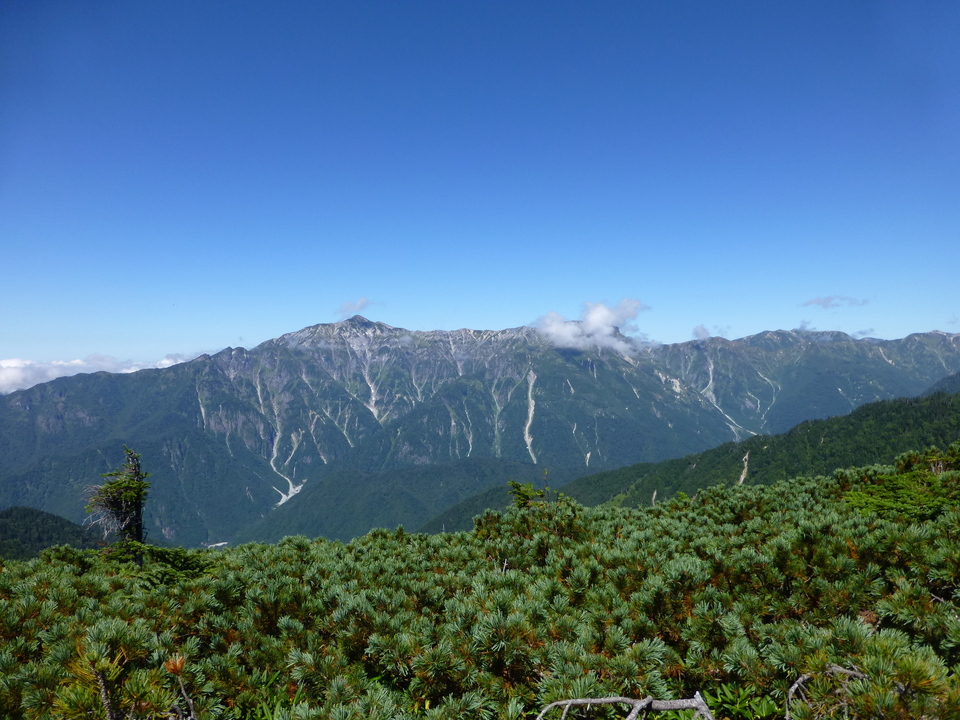 P1120180_mid.jpg