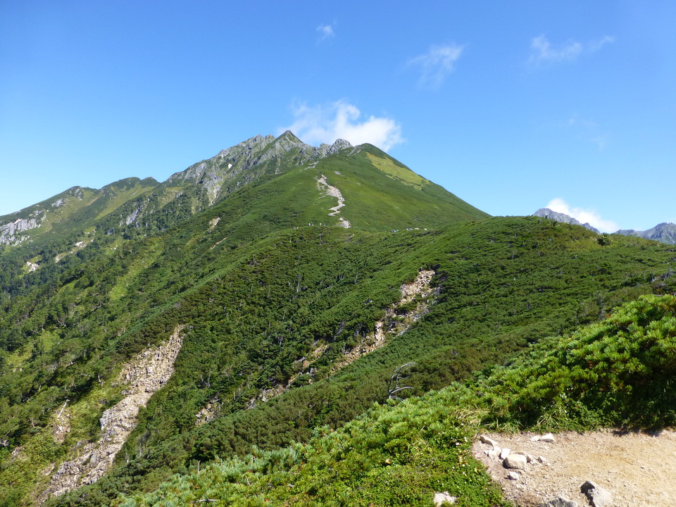 P1120182_mid.jpg