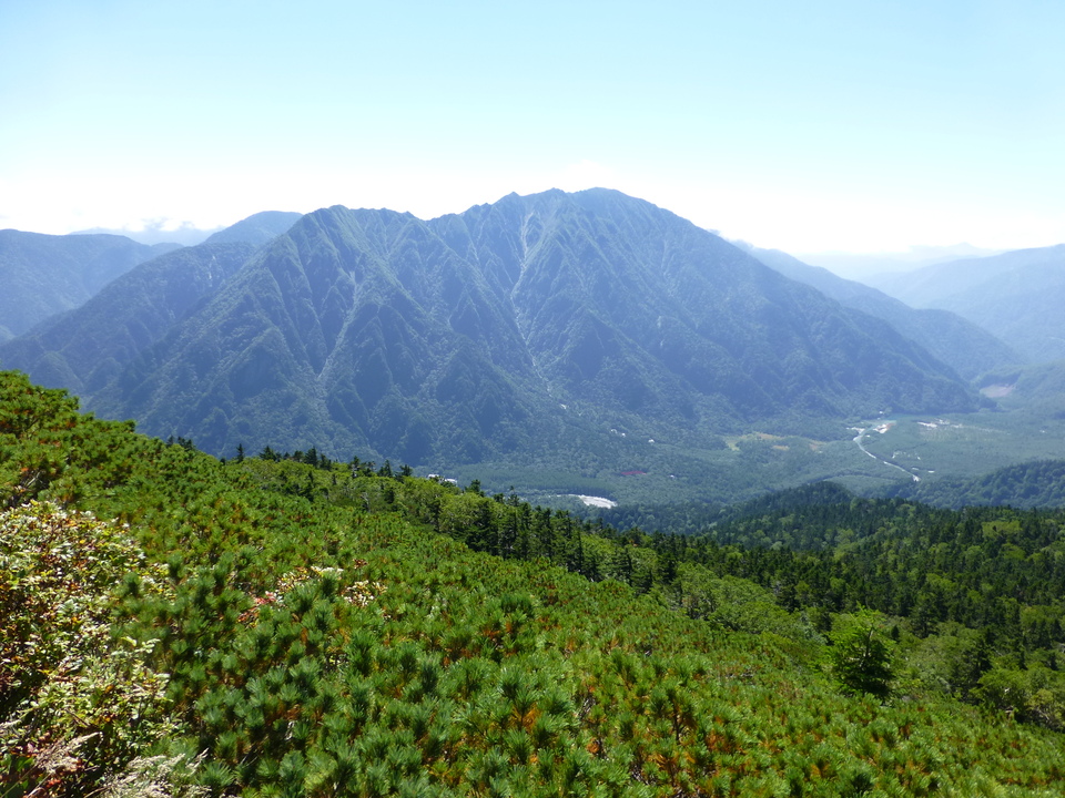P1120184_mid.jpg