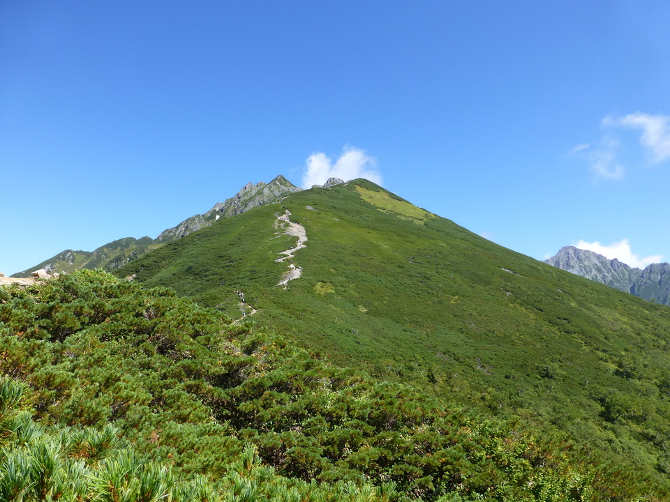P1120188_mid.jpg