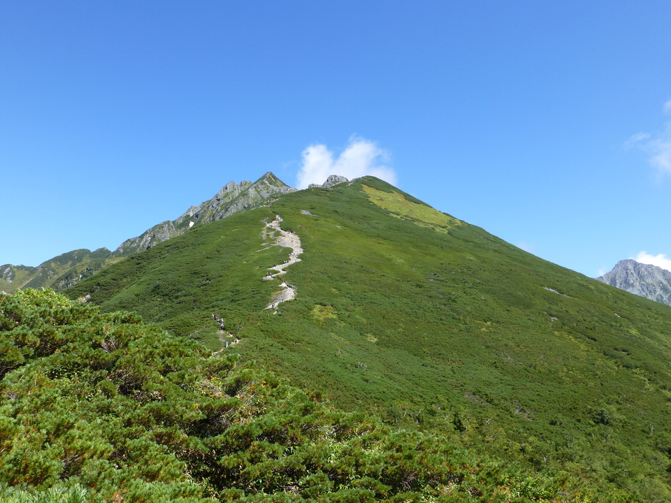 P1120189_mid.jpg