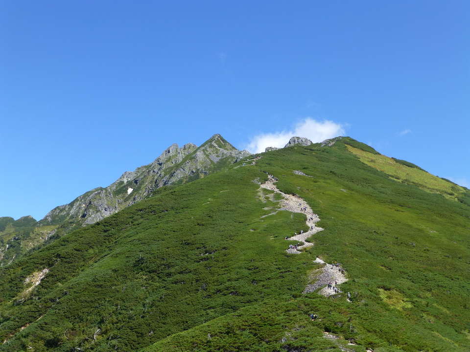 P1120191_mid.jpg