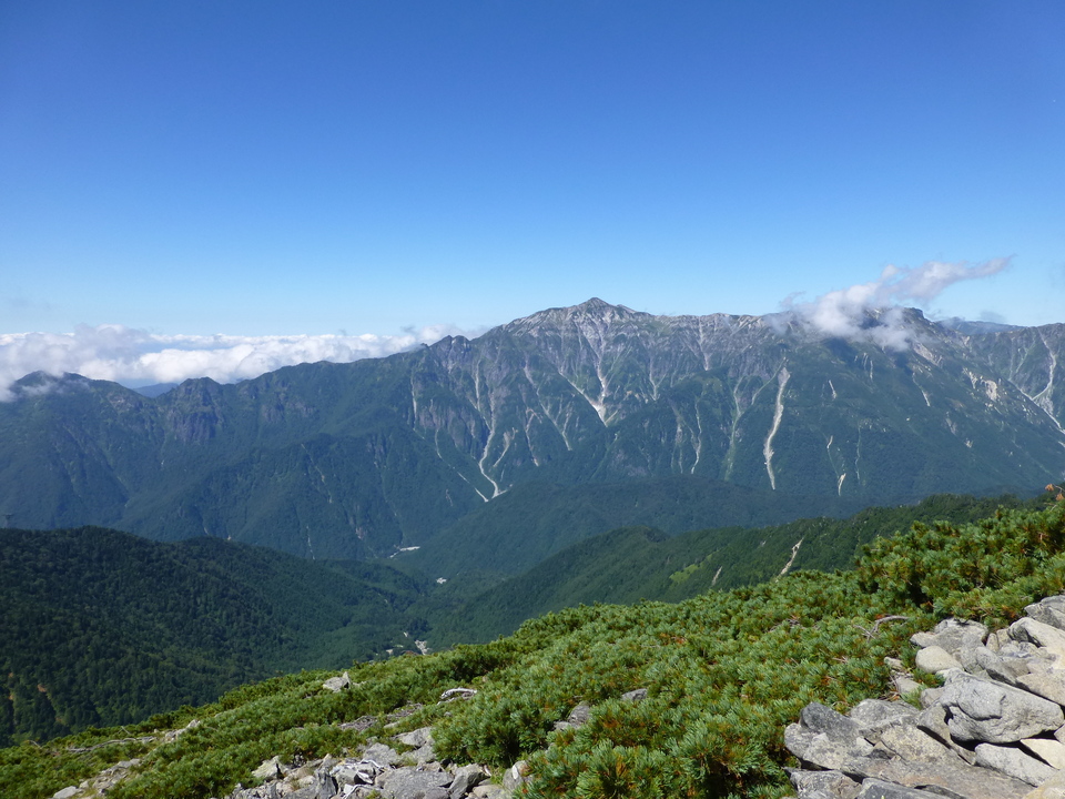 P1120197_mid.jpg