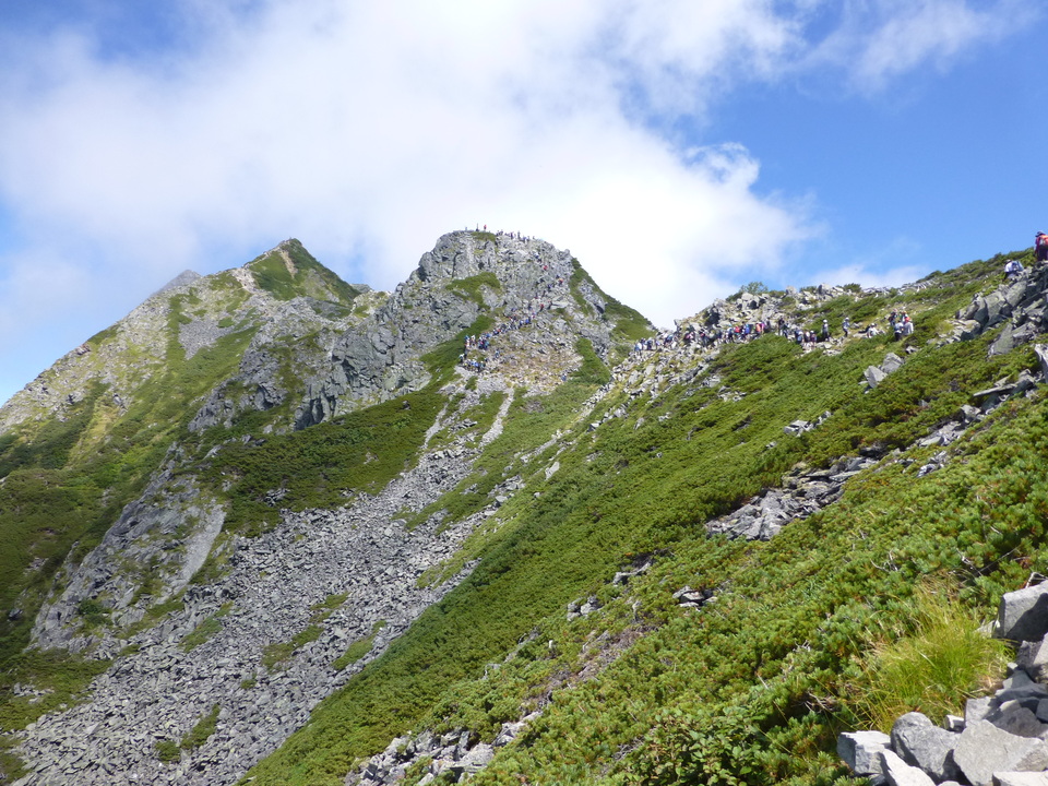 P1120199_mid.jpg