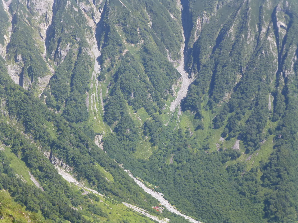 P1120224_mid.jpg