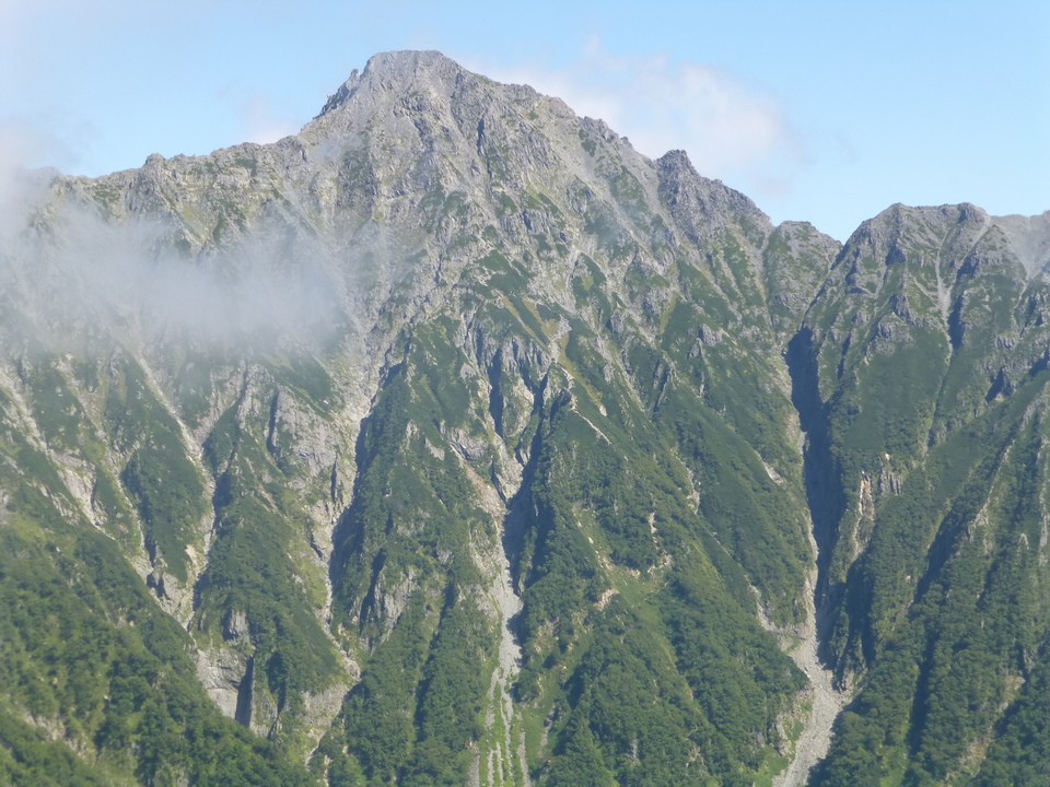 P1120225_mid.jpg