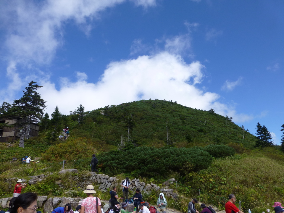 P1120236_mid.jpg