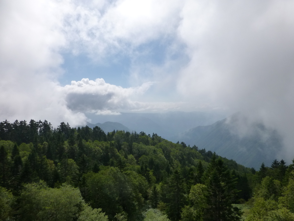 P1120248_mid.jpg
