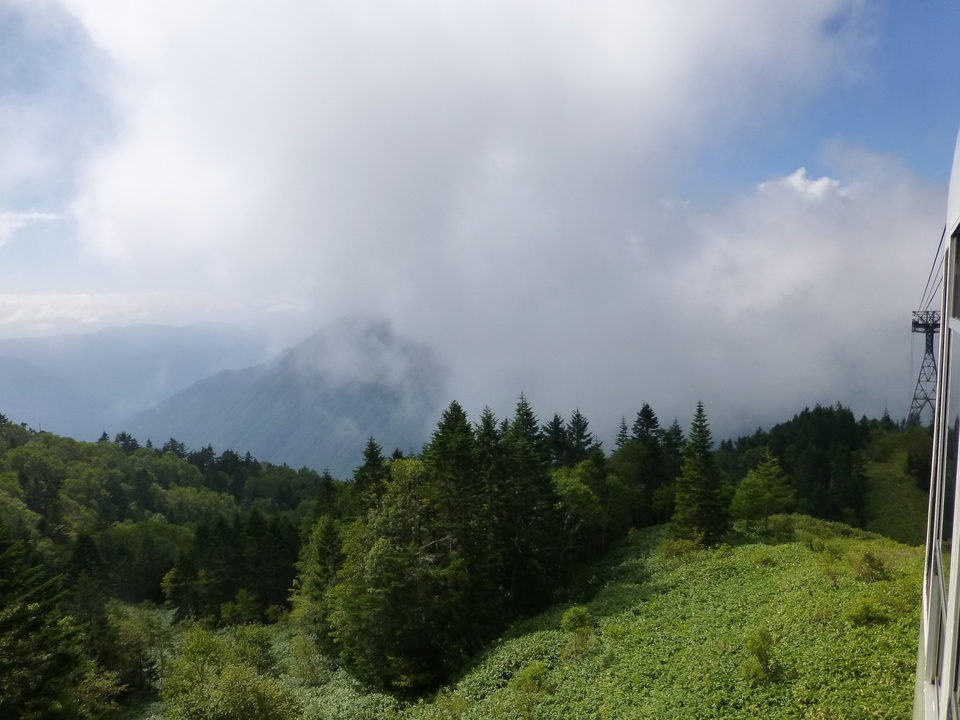 P1120249_mid.jpg