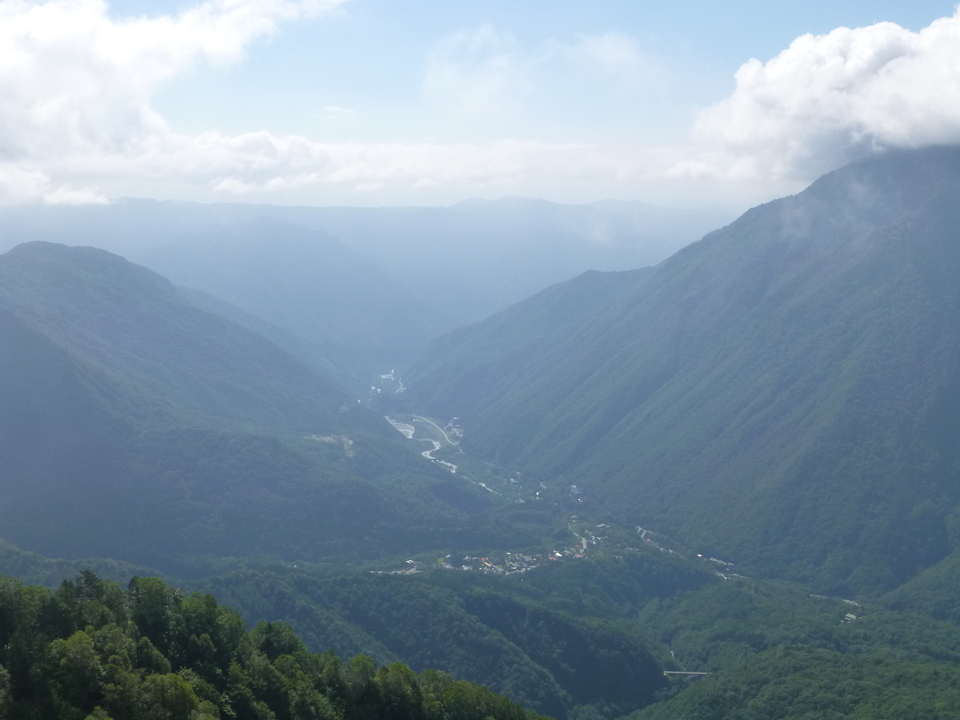 P1120254_mid.jpg
