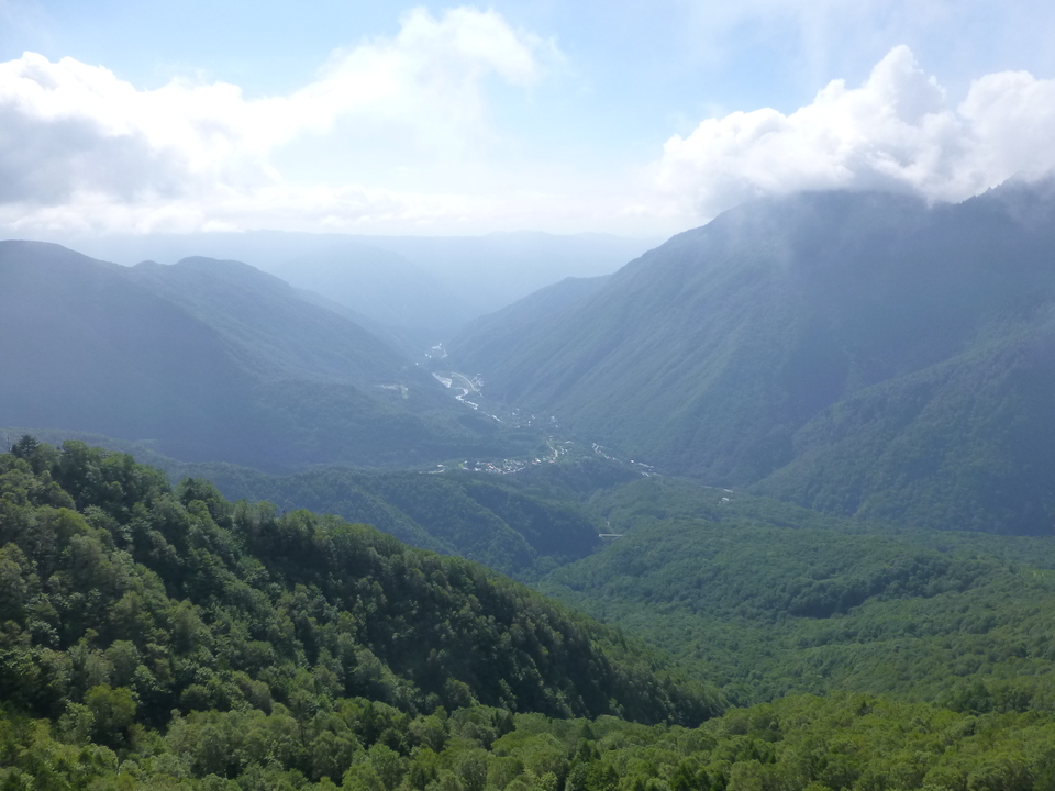 P1120256_mid.jpg