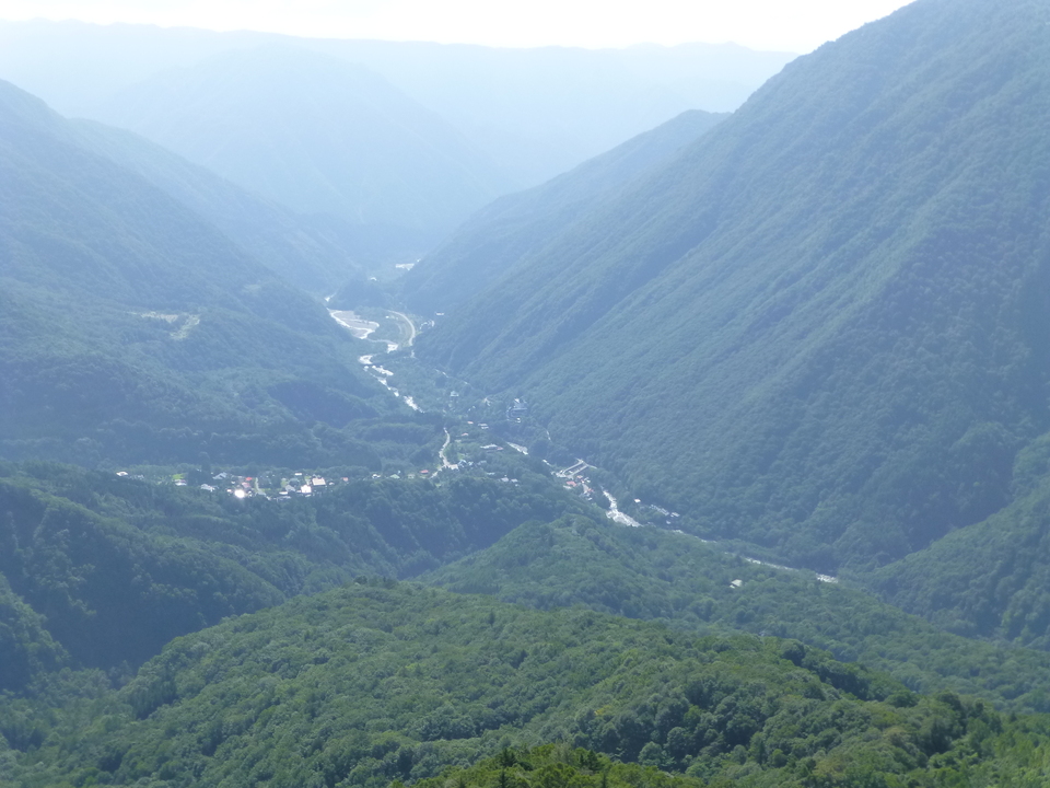 P1120258_mid.jpg