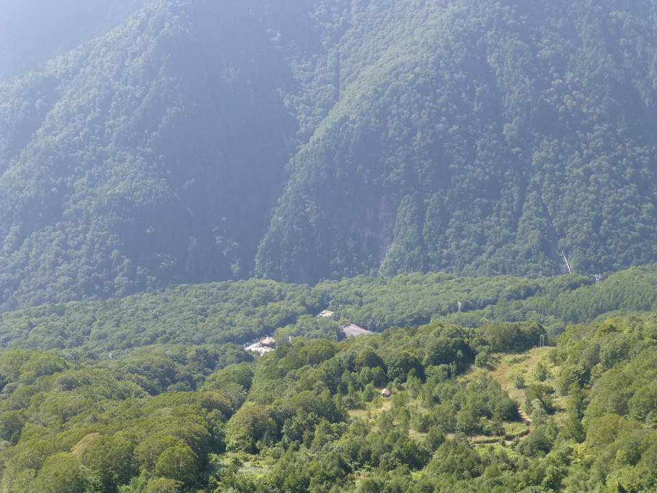 P1120259_mid.jpg