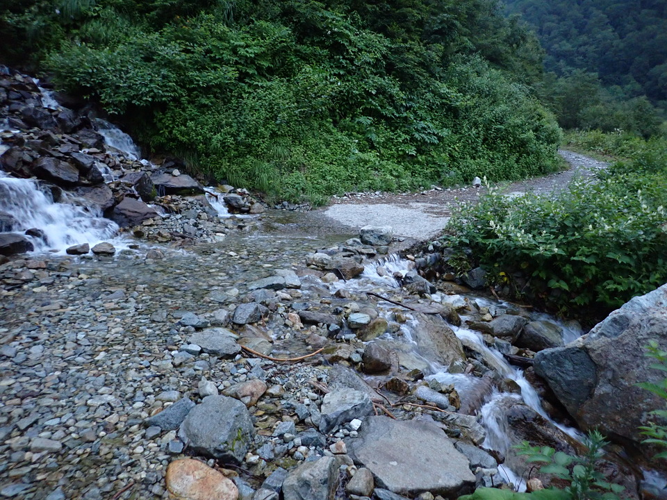 P9130659_mid.jpg