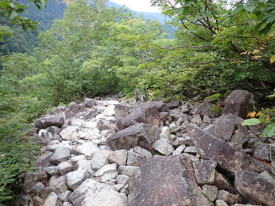 P9130671_mid.jpg