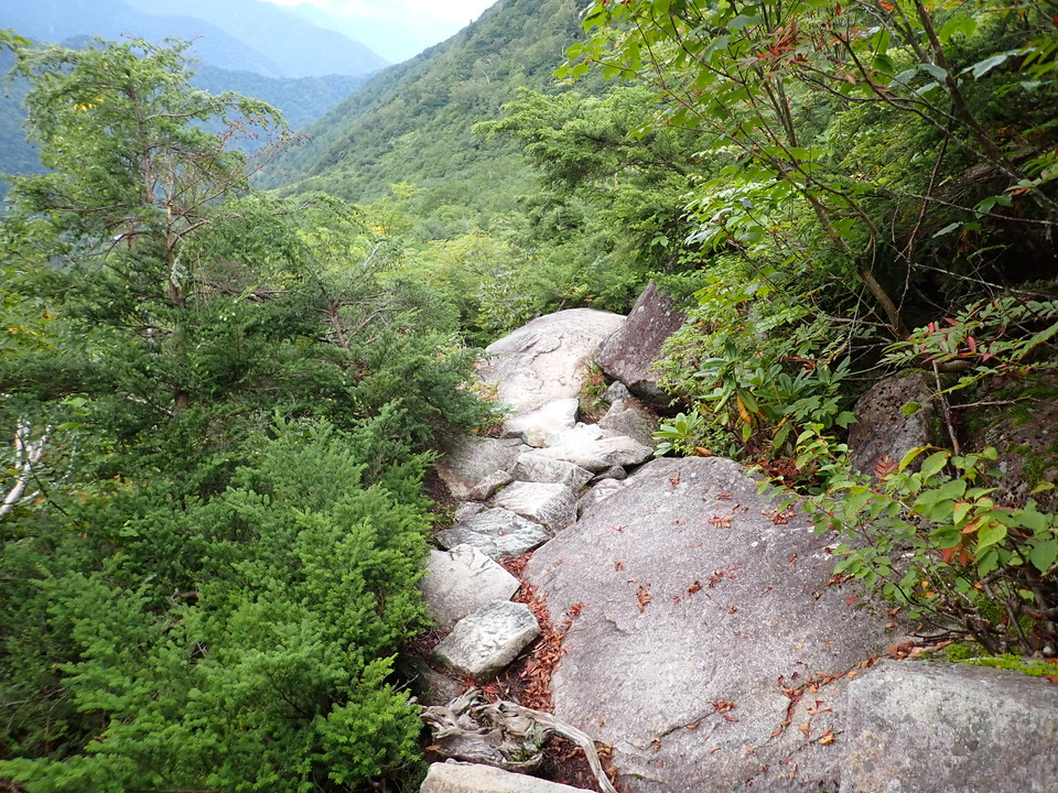 P9130690_mid.jpg