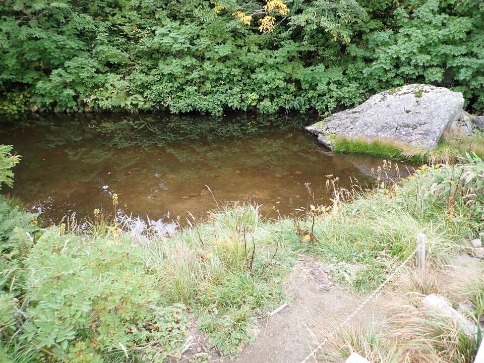 P9130720_mid.jpg