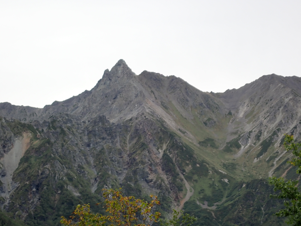 P9130749_mid.jpg