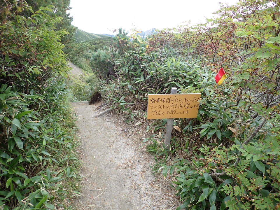 P9130805_mid.jpg