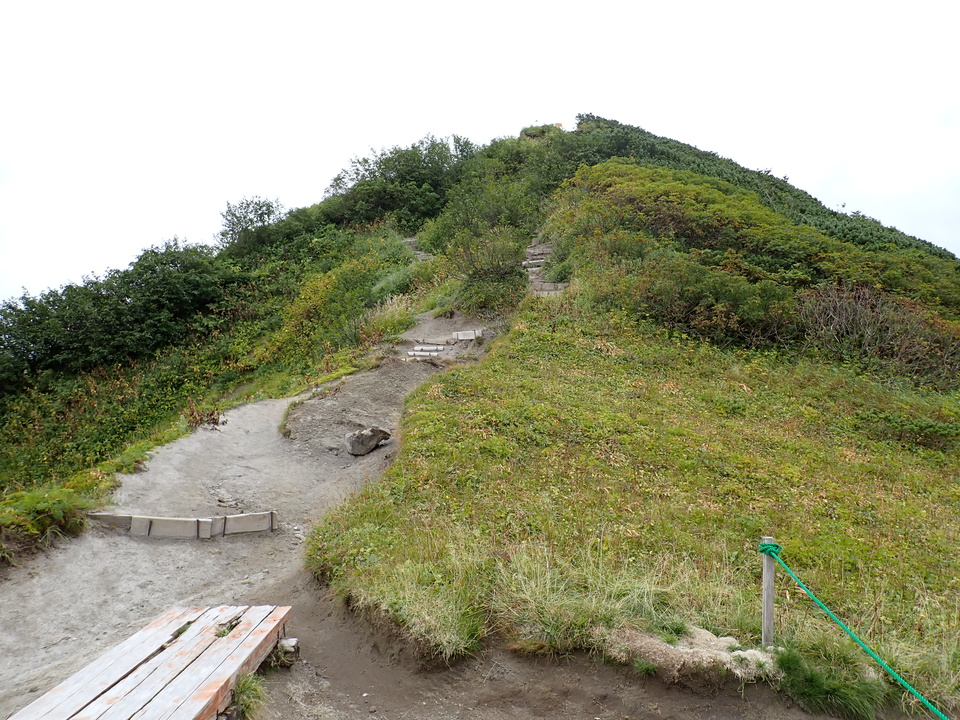 P9130811_mid.jpg