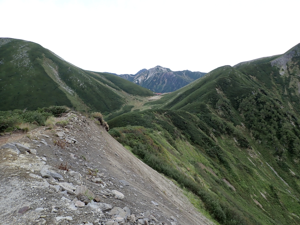 P9130818_mid.jpg