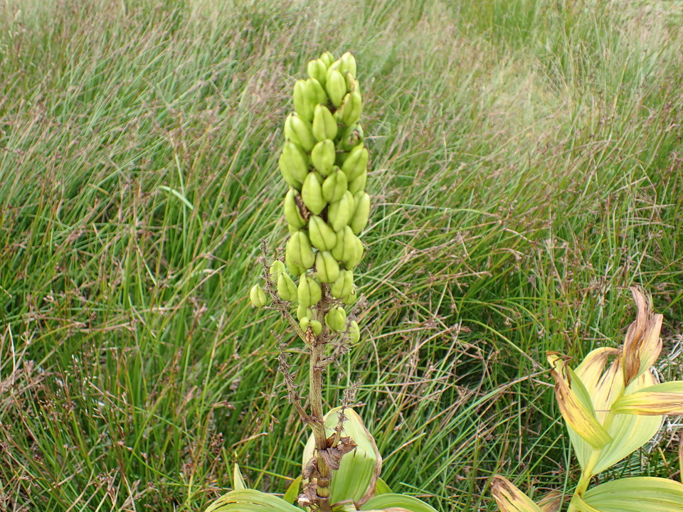 P9130840_mid.jpg