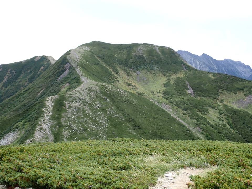 P9130858_mid.jpg
