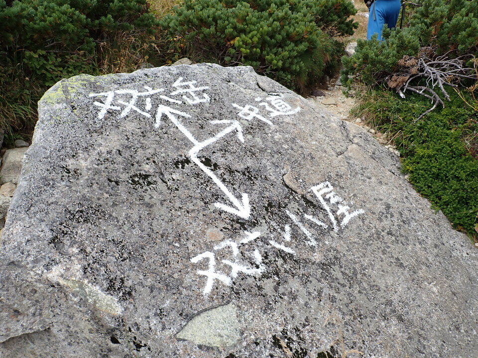 P9130867_mid.jpg