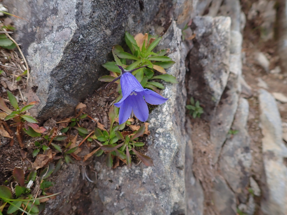 P9130925_mid.jpg