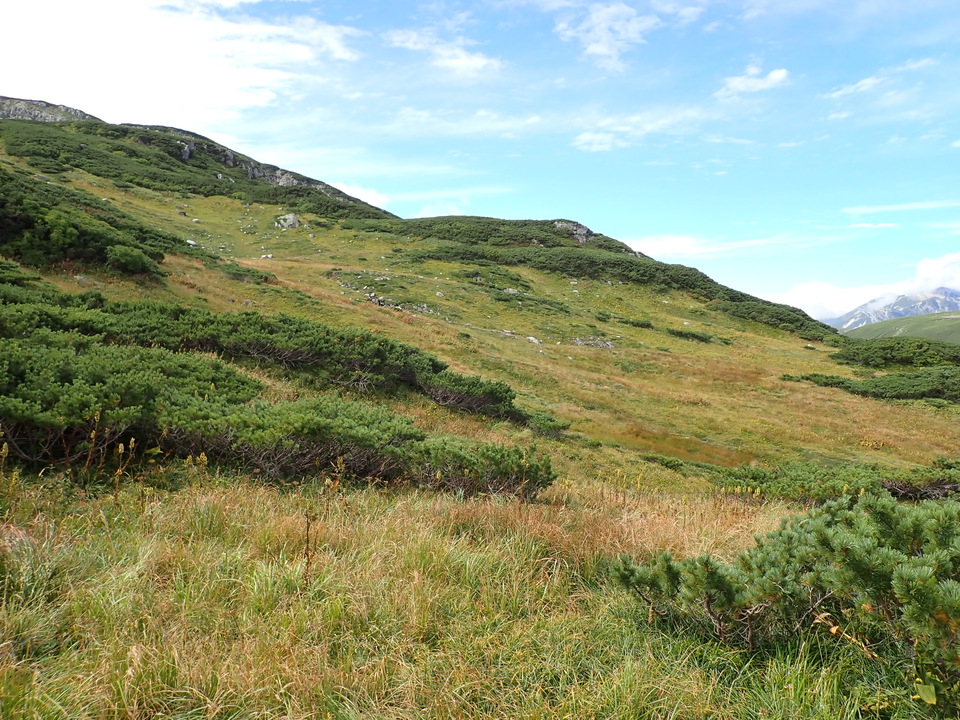 P9130943_mid.jpg