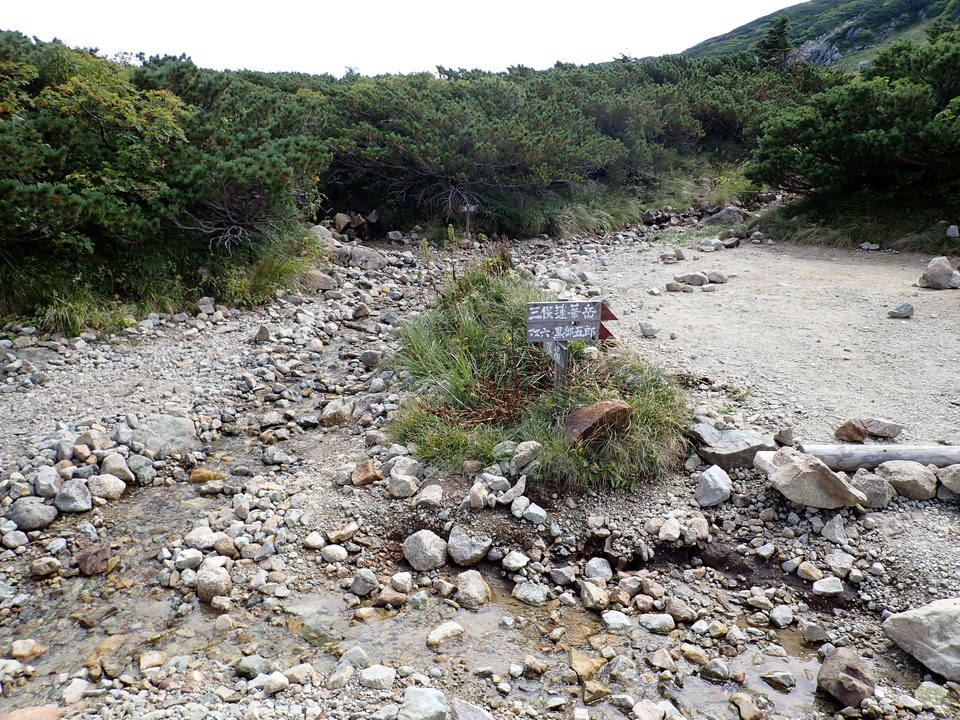 P9130951_mid.jpg