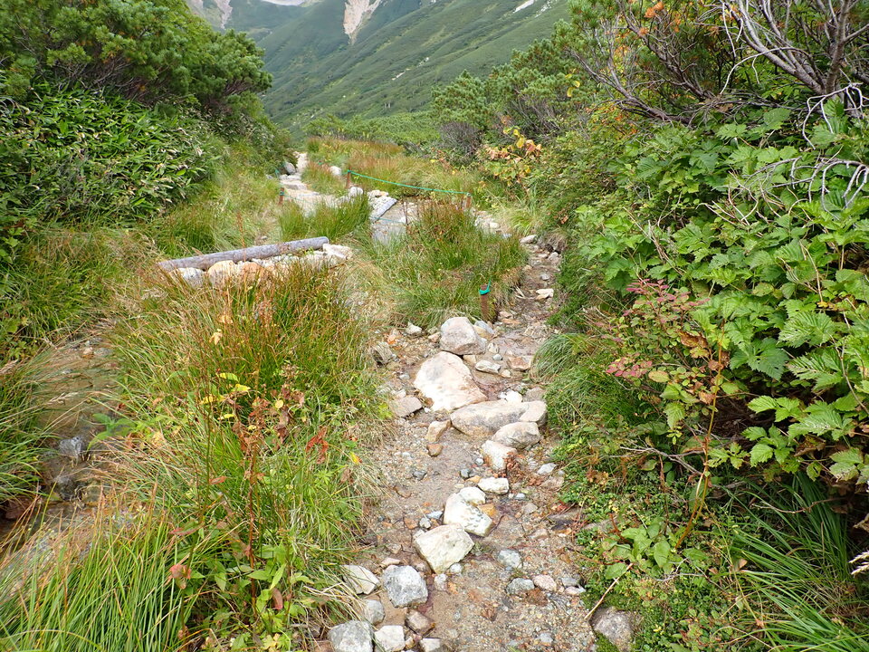 P9130955_mid.jpg