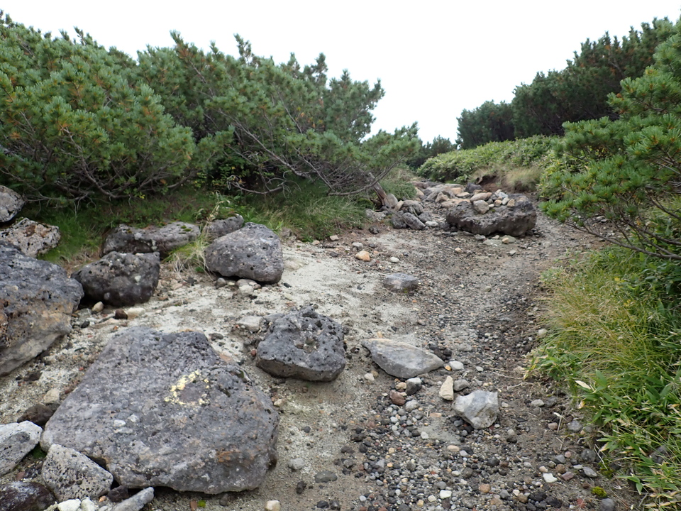 P9130992_mid.jpg
