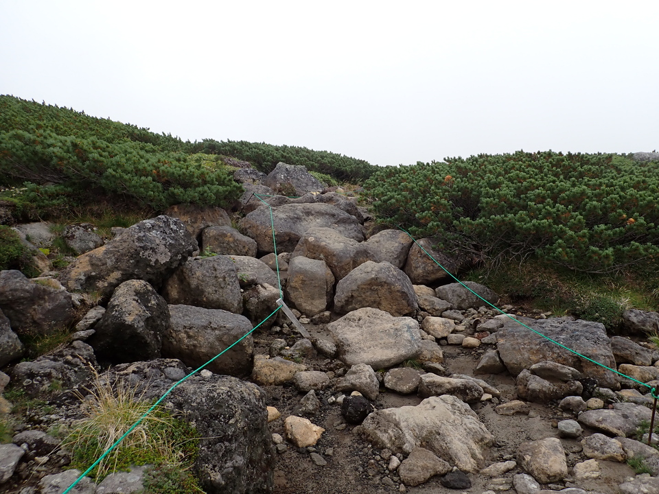 P9130997_mid.jpg