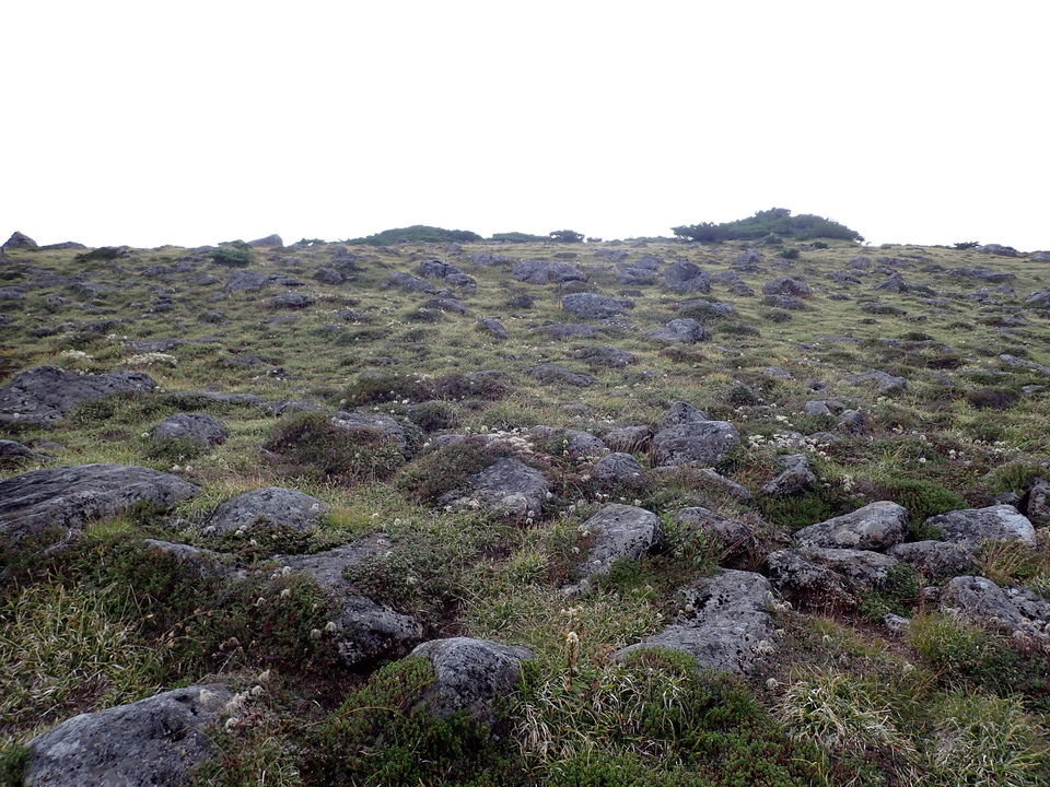 P9131033_mid.jpg