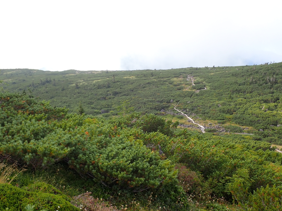 P9131053_mid.jpg